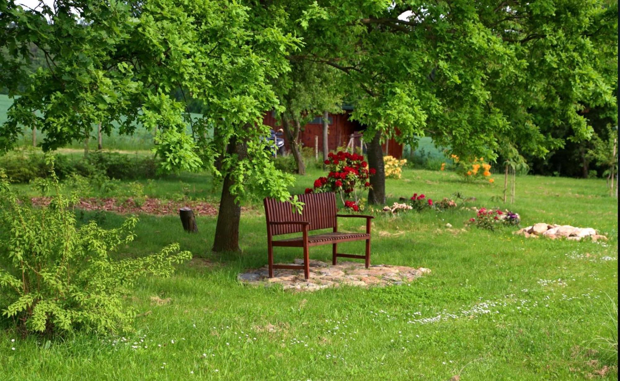 K9 Resort **** Zruc nad Sazavou Exterior foto